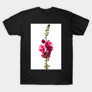 Hollyhock T-Shirt